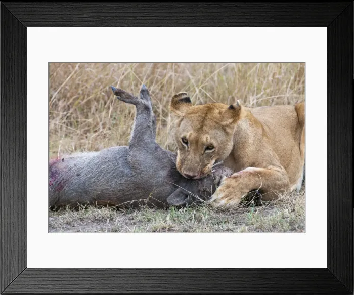 Framed Print : Picture No. 10881546