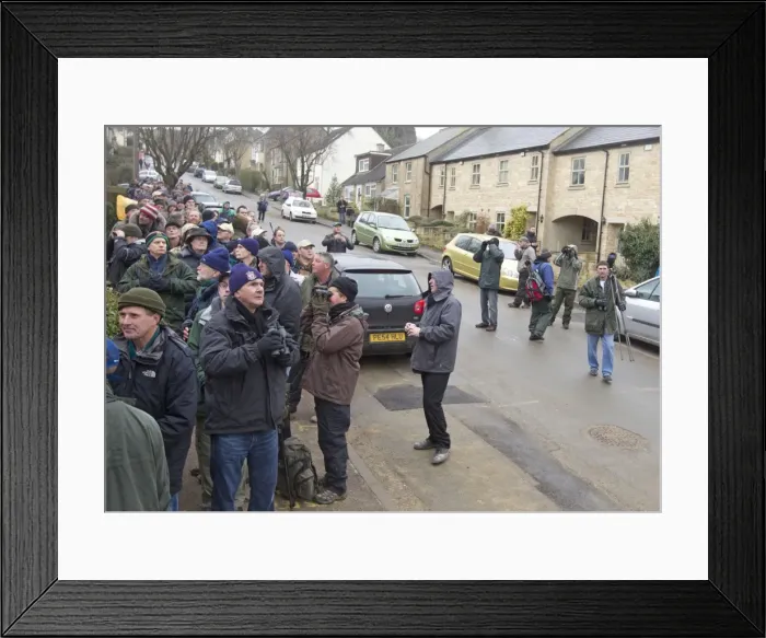 Framed Print : Picture No. 10881615 Framed Print : Picture No. 10881615