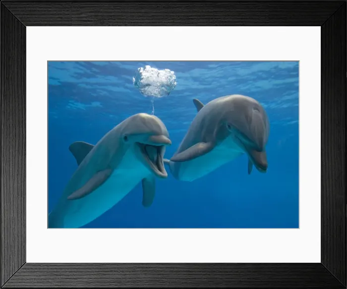 Framed Print : Picture No. 10881629 Framed Print : Picture No. 10881629