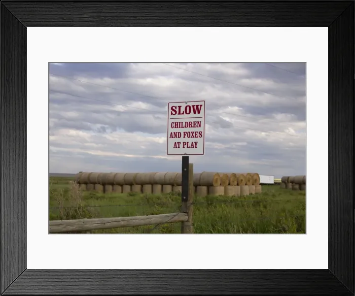 Framed Print : Picture No. 10881763 Framed Print : Picture No. 10881763