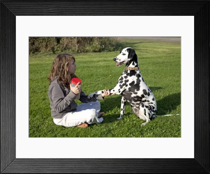 Framed Print : Picture No. 10881810