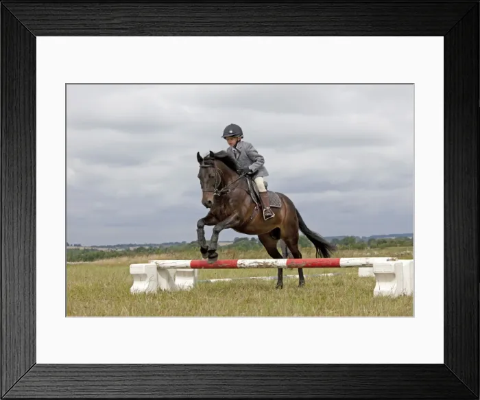 Framed Print : Picture No. 10881825 Framed Print : Picture No. 10881825