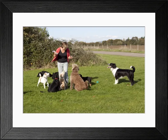 Framed Print : Picture No. 10881822 Framed Print : Picture No. 10881822