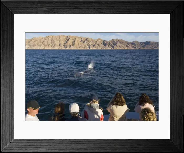 Framed Print : Picture No. 10881857 Framed Print : Picture No. 10881857