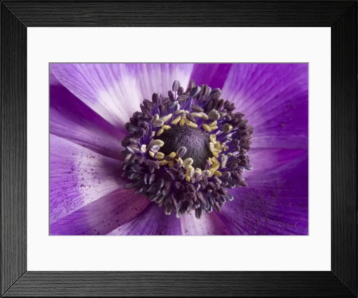 Framed Print : Picture No. 10882122 Framed Print : Picture No. 10882122