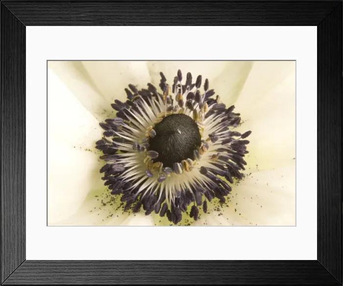 Framed Print : Picture No. 10882123 Framed Print : Picture No. 10882123