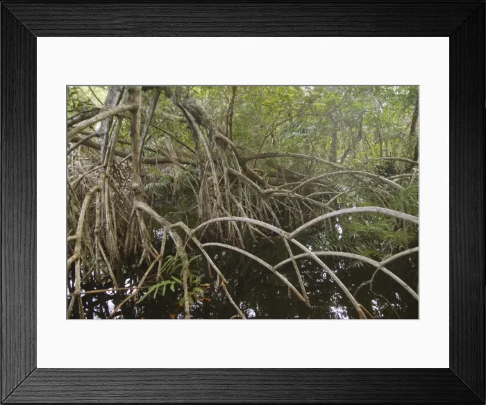 Framed Print : Picture No. 10882121 Framed Print : Picture No. 10882121