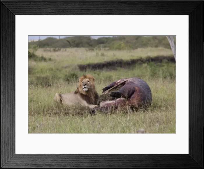 Framed Print : Picture No. 10882145 Framed Print : Picture No. 10882145