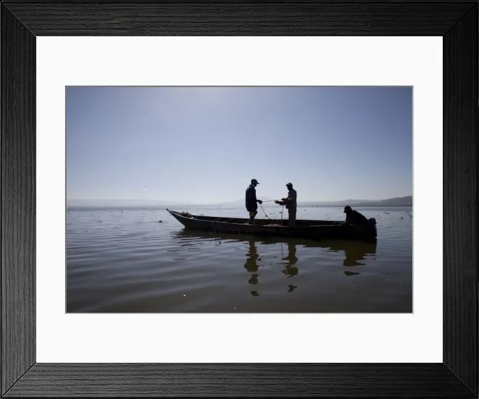 Framed Print : Picture No. 10882135