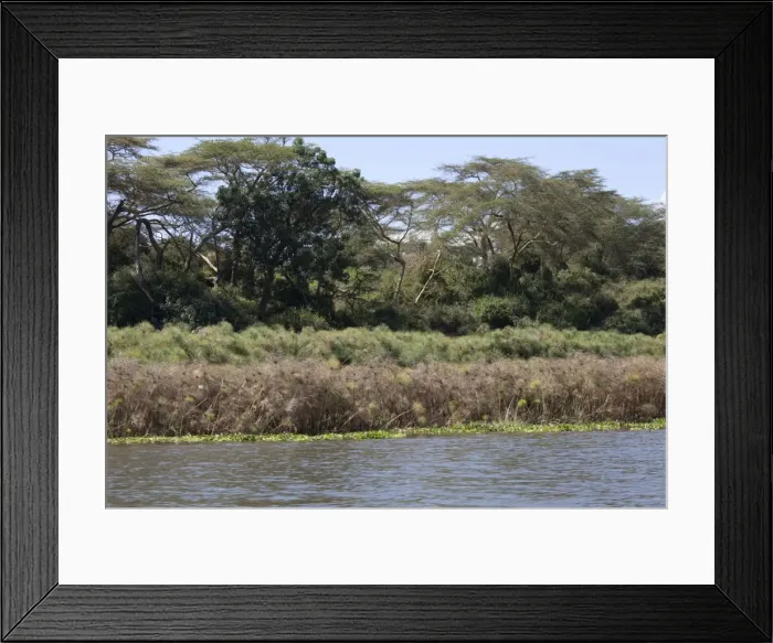 Framed Print : Picture No. 10882158 Framed Print : Picture No. 10882158
