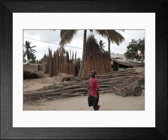 Framed Print : Picture No. 10882169 Framed Print : Picture No. 10882169