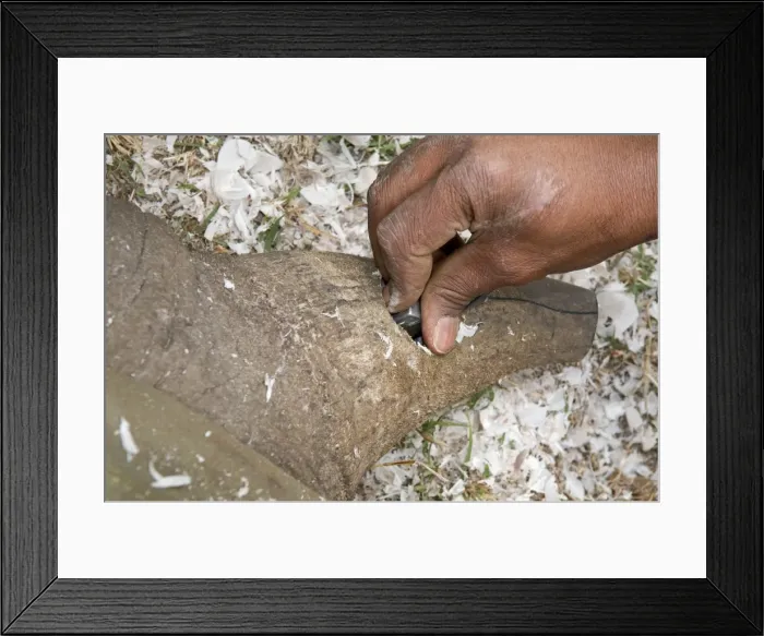 Framed Print : Picture No. 10882235