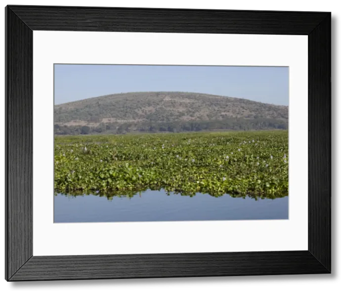 Framed Print : Picture No. 10882175 Framed Print : Picture No. 10882175