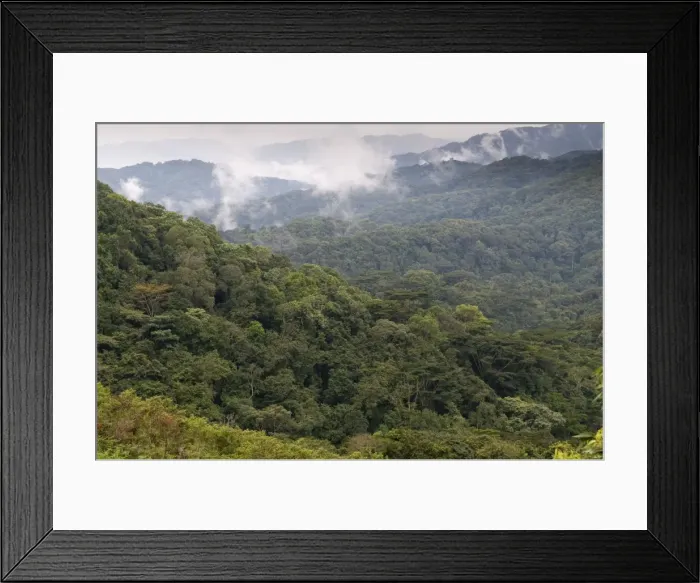 Framed Print : Picture No. 10882240