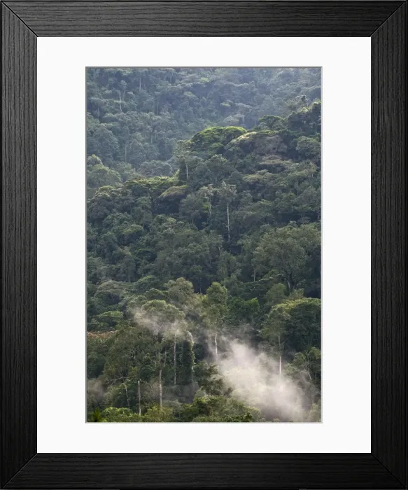 Framed Print : Picture No. 10882241 Framed Print : Picture No. 10882241