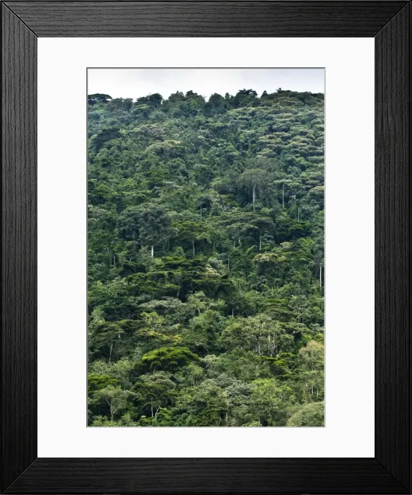 Framed Print : Picture No. 10882238 Framed Print : Picture No. 10882238