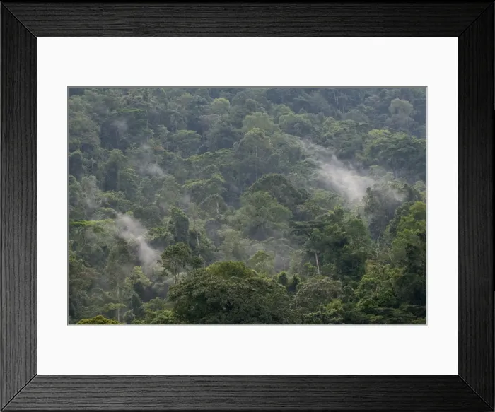 Framed Print : Picture No. 10882242 Framed Print : Picture No. 10882242