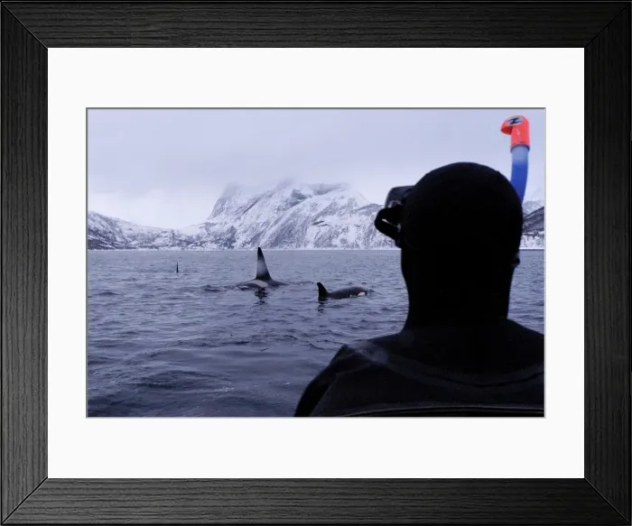 Framed Print : Picture No. 10882252