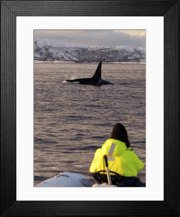 Framed Print : Picture No. 10882249 Framed Print : Picture No. 10882249
