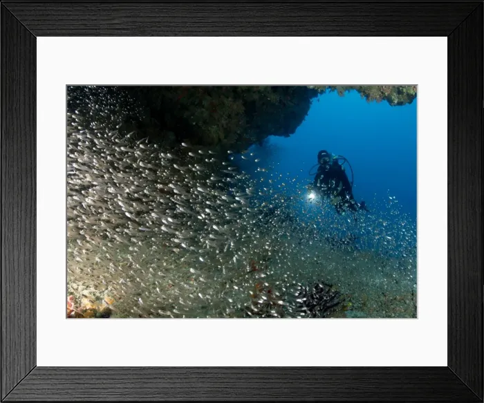 Framed Print : Picture No. 10882854