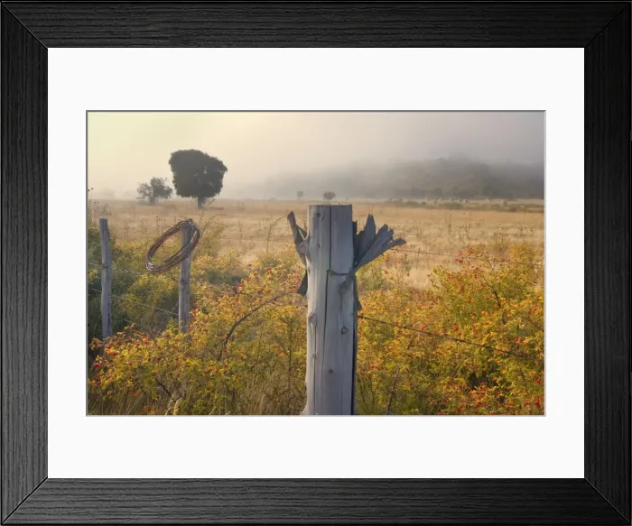 Framed Print : Picture No. 10883082 Framed Print : Picture No. 10883082