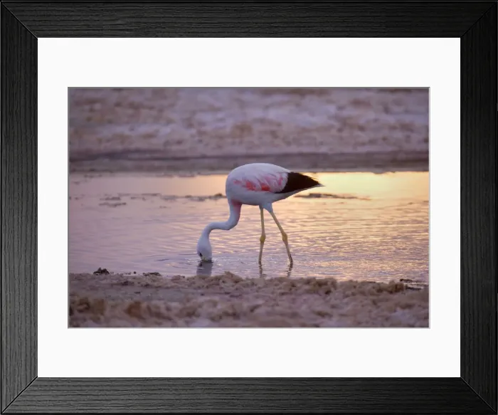 Framed Print : Picture No. 10883086 Framed Print : Picture No. 10883086