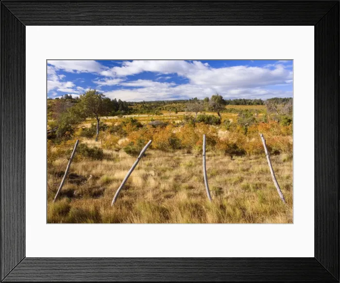 Framed Print : Picture No. 10883084 Framed Print : Picture No. 10883084