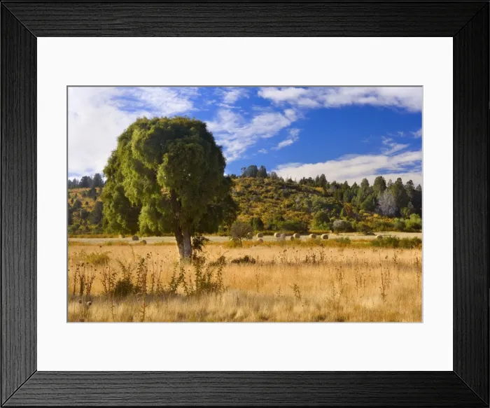 Framed Print : Picture No. 10883083 Framed Print : Picture No. 10883083