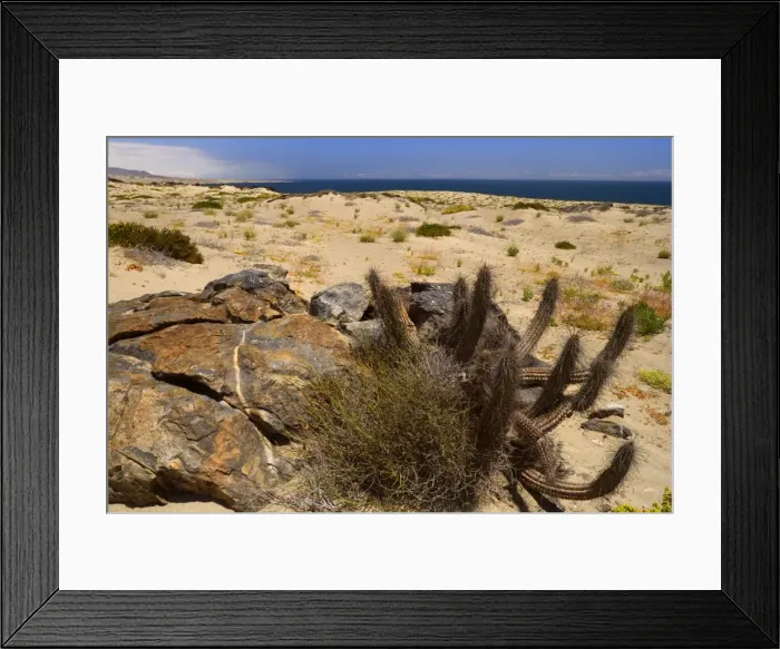 Framed Print : Picture No. 10883089 Framed Print : Picture No. 10883089