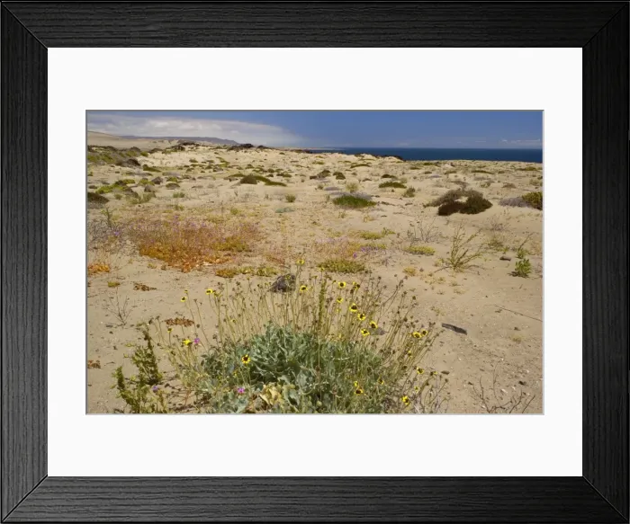 Framed Print : Picture No. 10883091 Framed Print : Picture No. 10883091