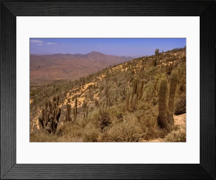 Framed Print : Picture No. 10883105 Framed Print : Picture No. 10883105