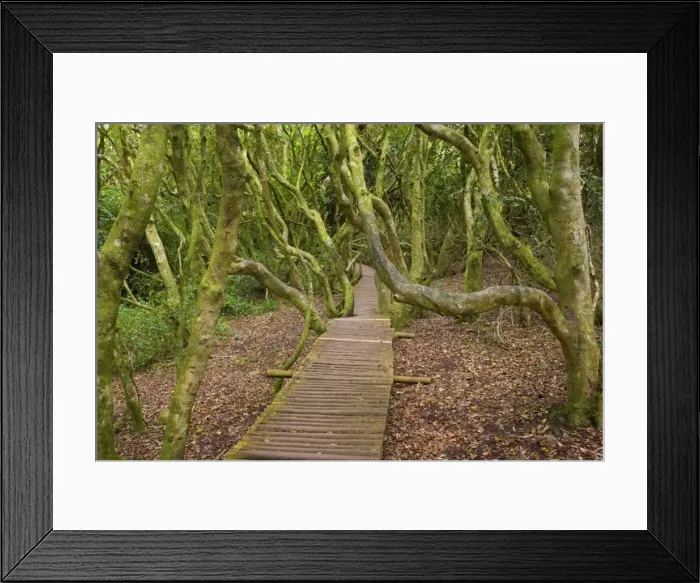 Framed Print : Picture No. 10883110 Framed Print : Picture No. 10883110
