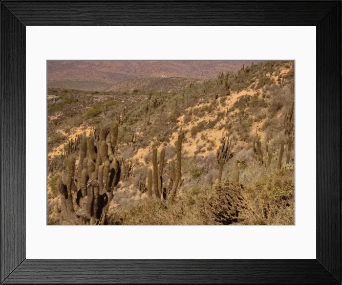 Framed Print : Picture No. 10883106 Framed Print : Picture No. 10883106
