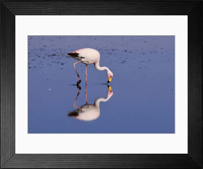 Framed Print : Picture No. 10883114 Framed Print : Picture No. 10883114