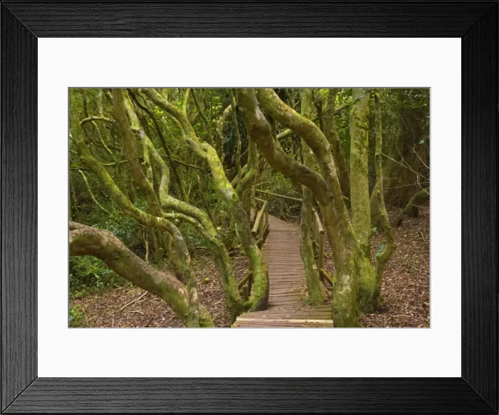 Framed Print : Picture No. 10883109 Framed Print : Picture No. 10883109