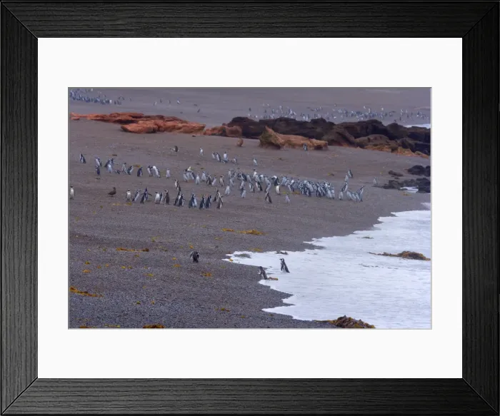 Framed Print : Picture No. 10883144 Framed Print : Picture No. 10883144