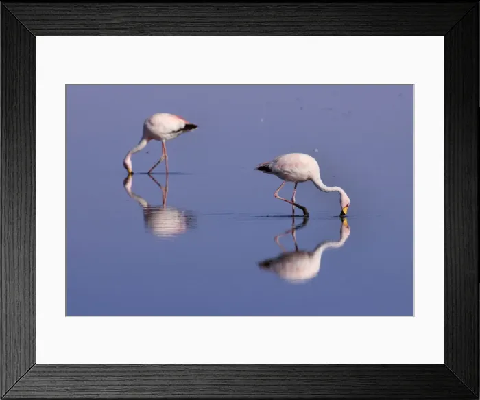 Framed Print : Picture No. 10883115 Framed Print : Picture No. 10883115