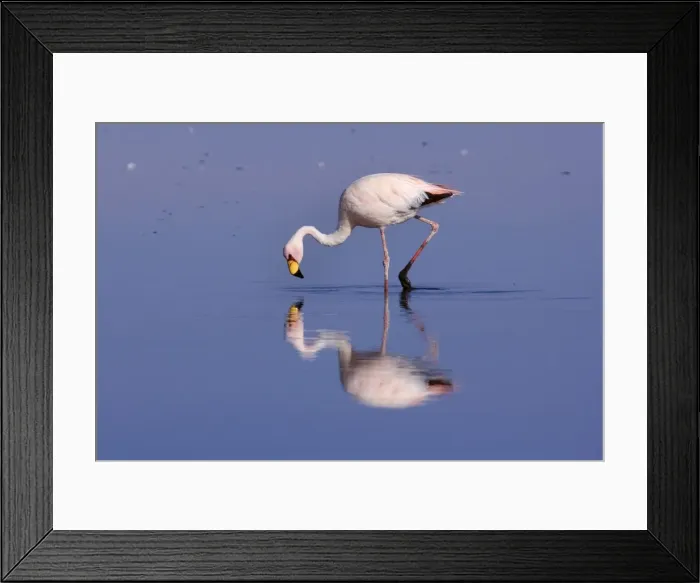 Framed Print : Picture No. 10883116 Framed Print : Picture No. 10883116