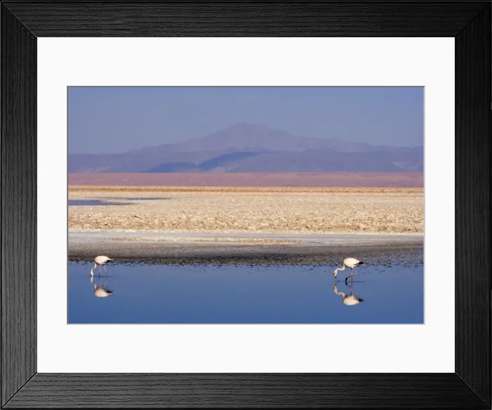 Framed Print : Picture No. 10883113 Framed Print : Picture No. 10883113