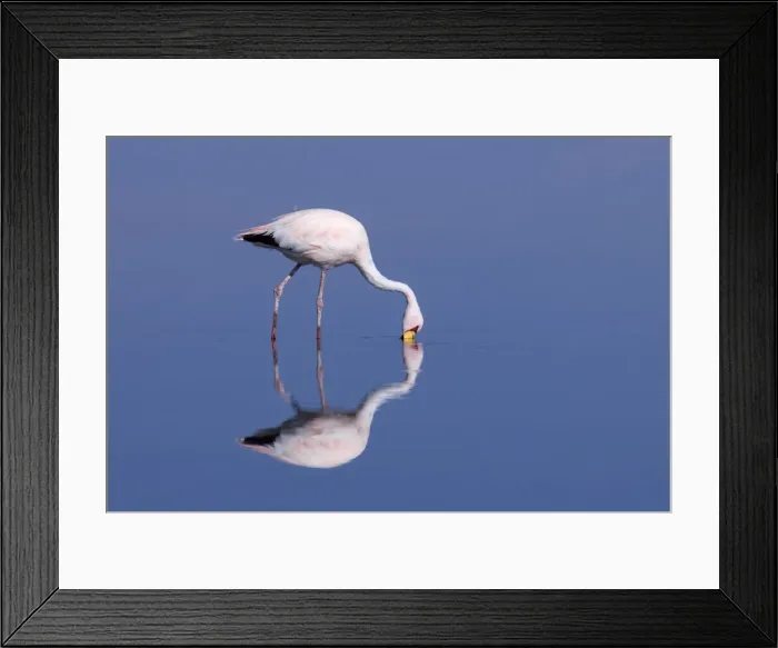 Framed Print : Picture No. 10883117 Framed Print : Picture No. 10883117