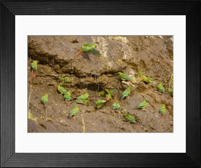 Framed Print : Picture No. 10883120 Framed Print : Picture No. 10883120