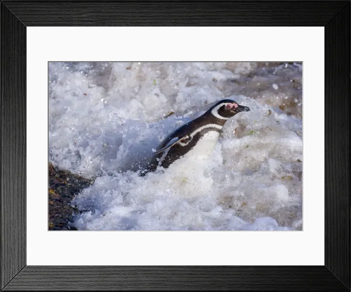 Framed Print : Picture No. 10883124 Framed Print : Picture No. 10883124