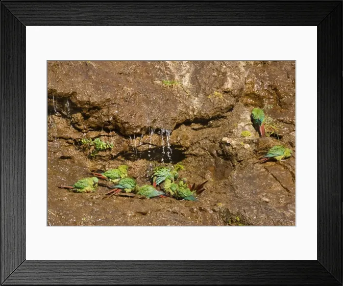 Framed Print : Picture No. 10883121 Framed Print : Picture No. 10883121
