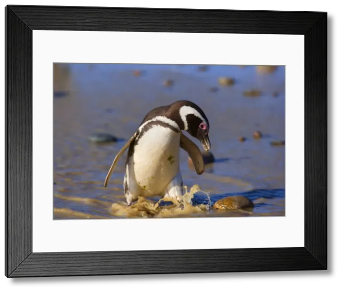 Framed Print : Picture No. 10883140 Framed Print : Picture No. 10883140