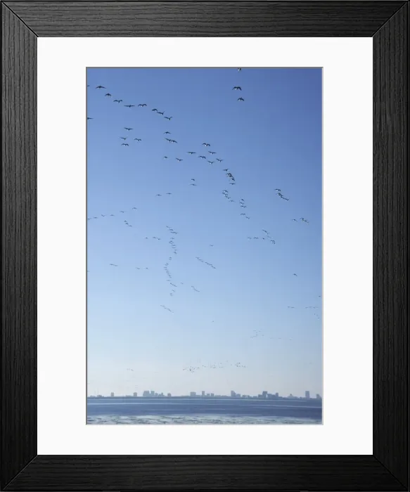 Framed Print : Picture No. 10883193 Framed Print : Picture No. 10883193