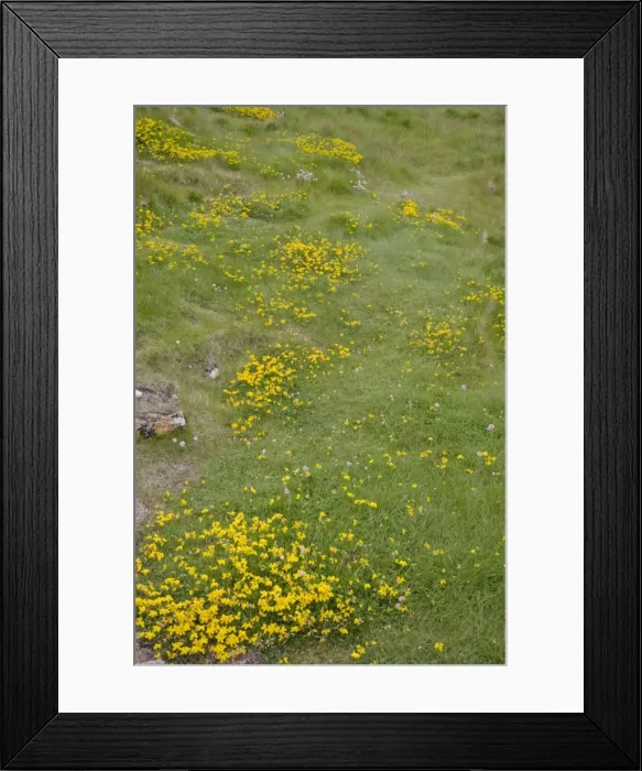 Framed Print : Picture No. 10883274 Framed Print : Picture No. 10883274