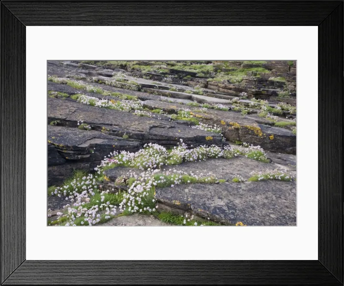 Framed Print : Picture No. 10883282 Framed Print : Picture No. 10883282