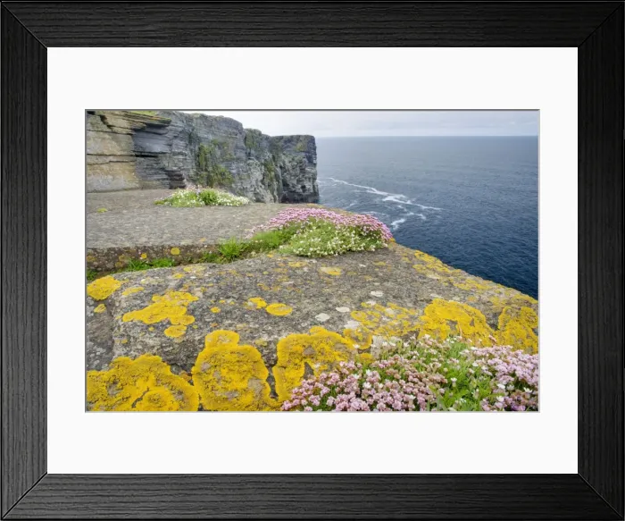 Framed Print : Picture No. 10883273 Framed Print : Picture No. 10883273