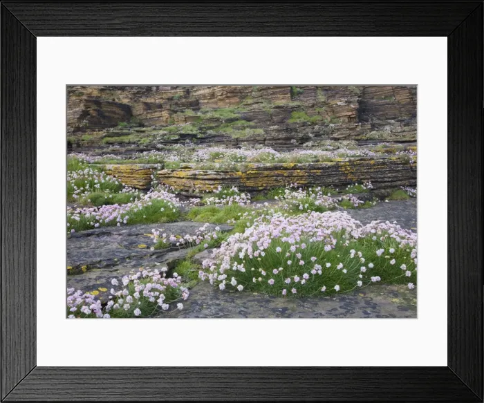 Framed Print : Picture No. 10883280 Framed Print : Picture No. 10883280