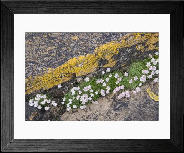 Framed Print : Picture No. 10883283 Framed Print : Picture No. 10883283